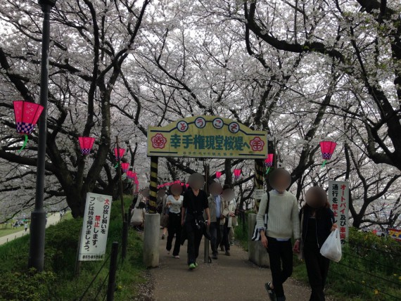 幸手権現堂公園の桜トンネルの入口