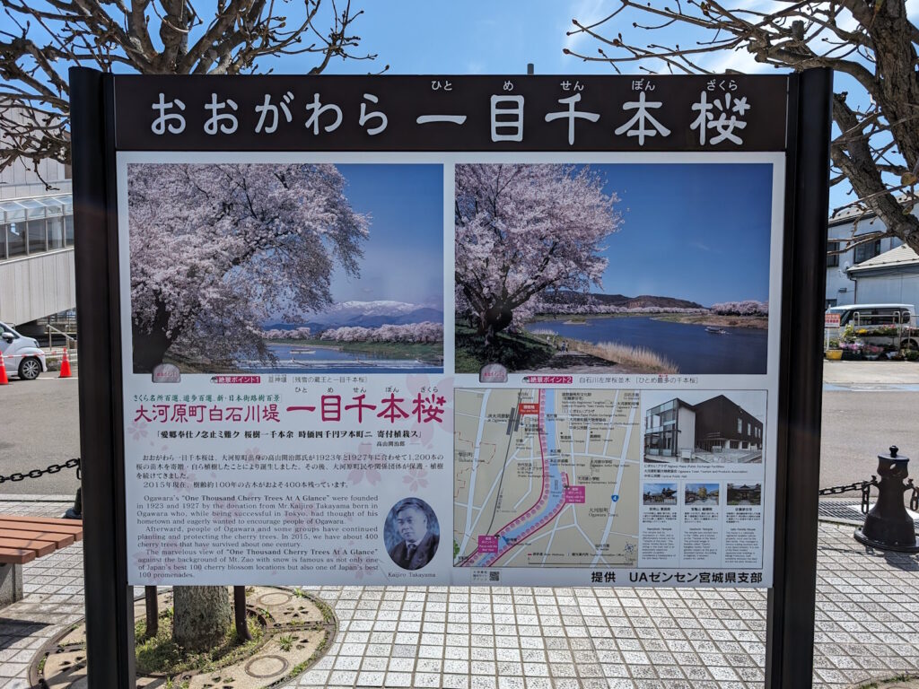 JR大河原駅前にあるおおがわら一目千本桜の説明
