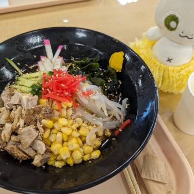 道の駅ごかで食べられる冷やし中華