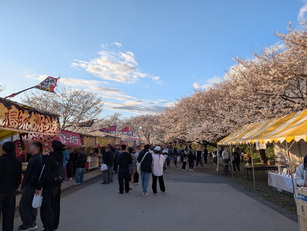 キレイな空と桜とお店