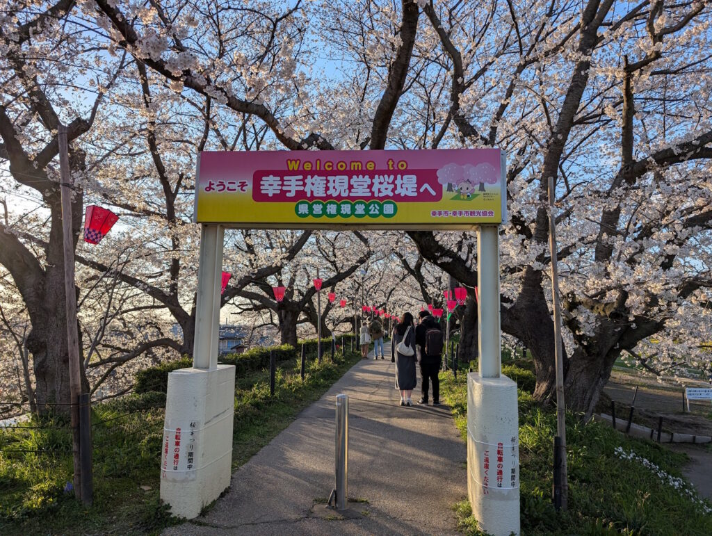 ようこそ幸手権現堂桜堤へ
