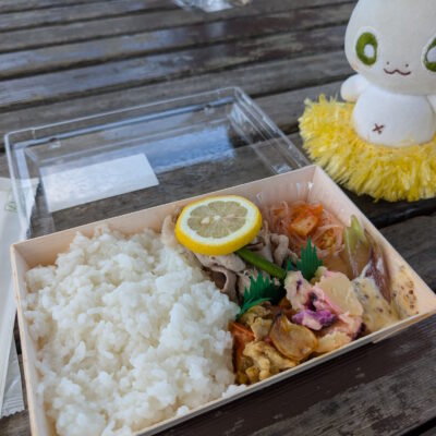 手作りお弁当とカッシーくん