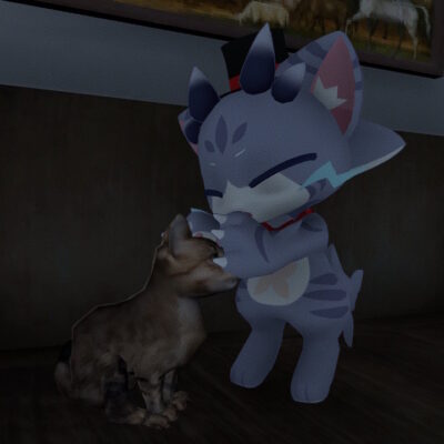 猫を撫でるゼリーさん