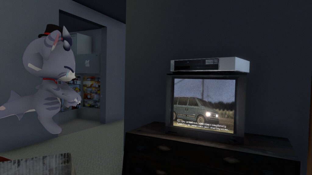 怪しいビデオを再生してみる