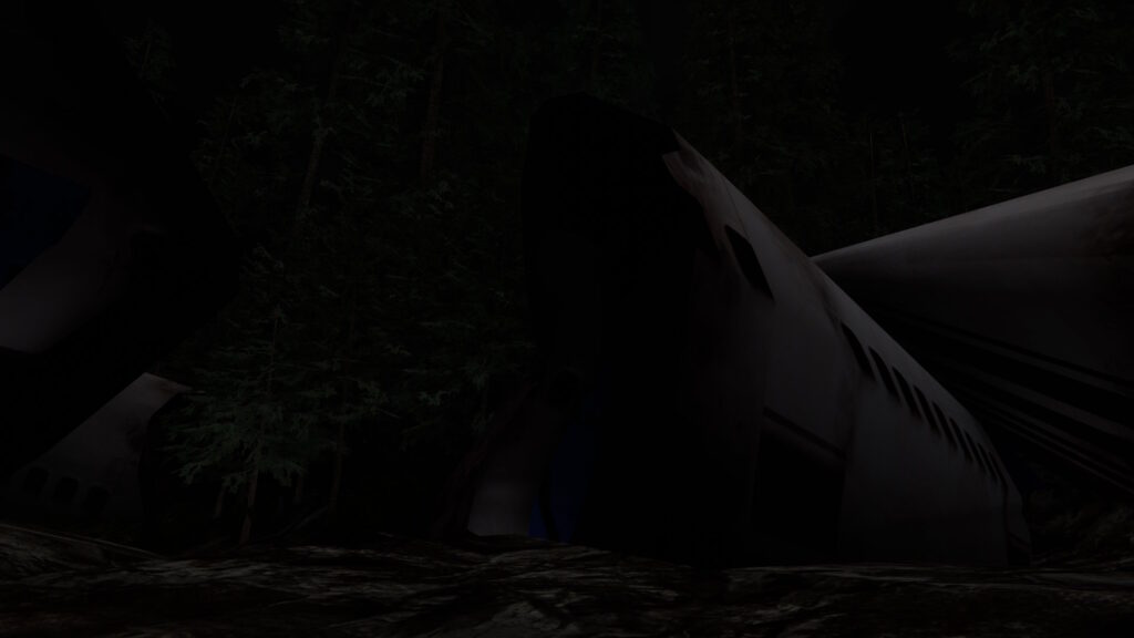 墜落した旅客機