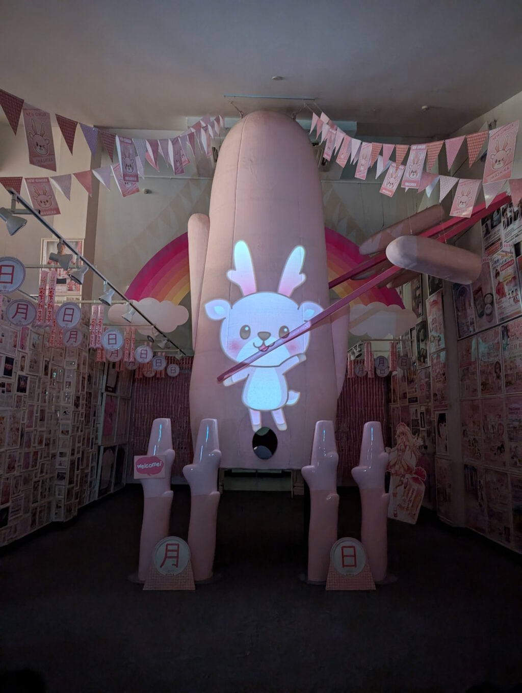 プロジェクションマッピングで映るイワシカちゃん