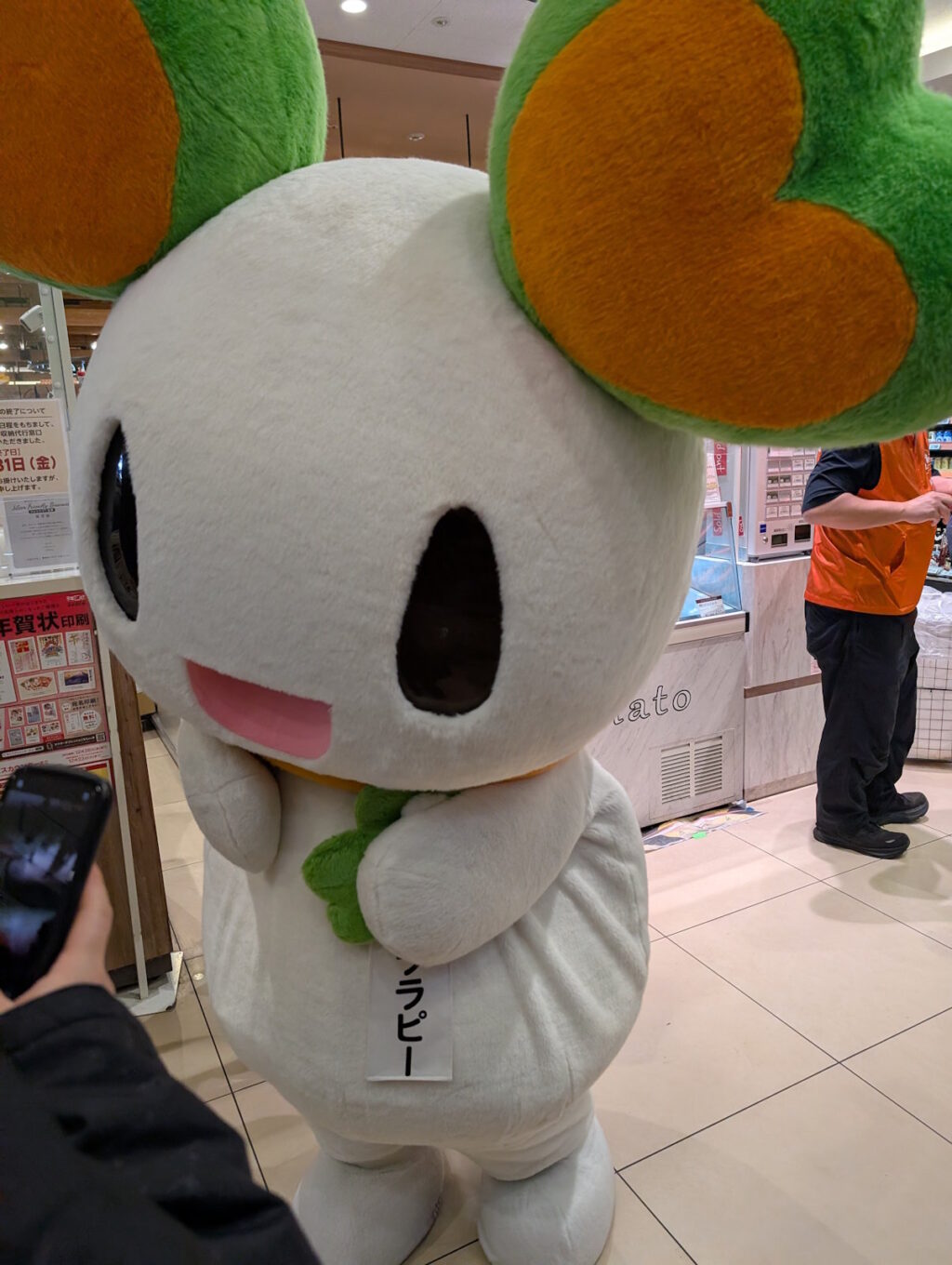 携帯電話を気にするララピーちゃん