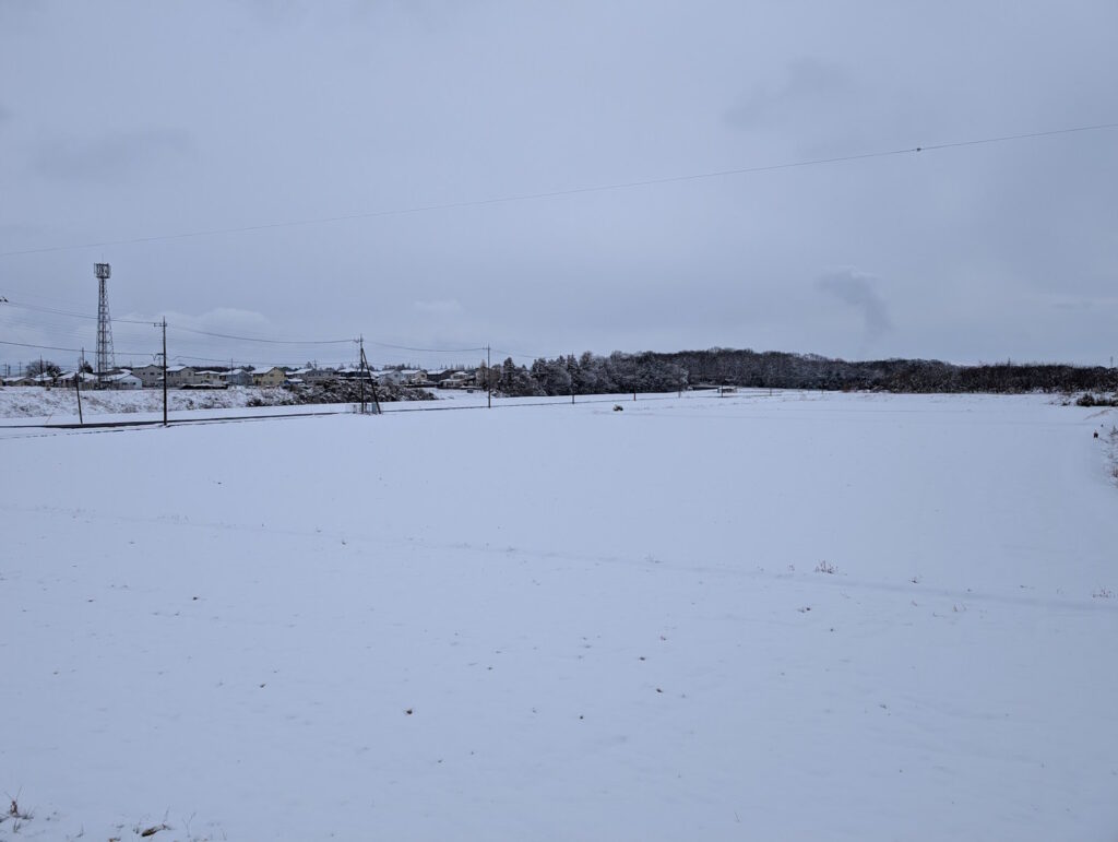 雪だらけの景色の道