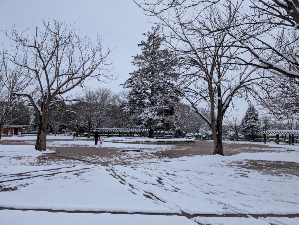 雪だらけの虹の広場