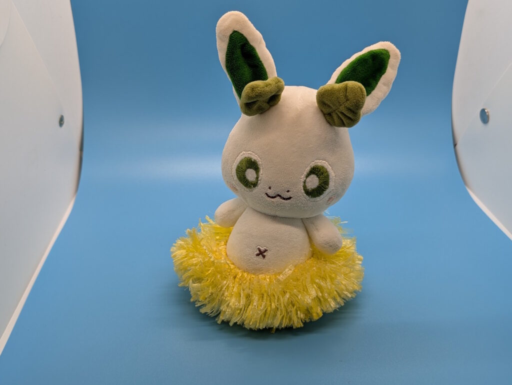 ぬいスタで撮ったカッシーくん