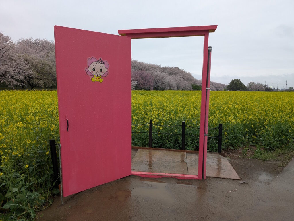 菜の花とさっちゃんが貼られたフォトスポット