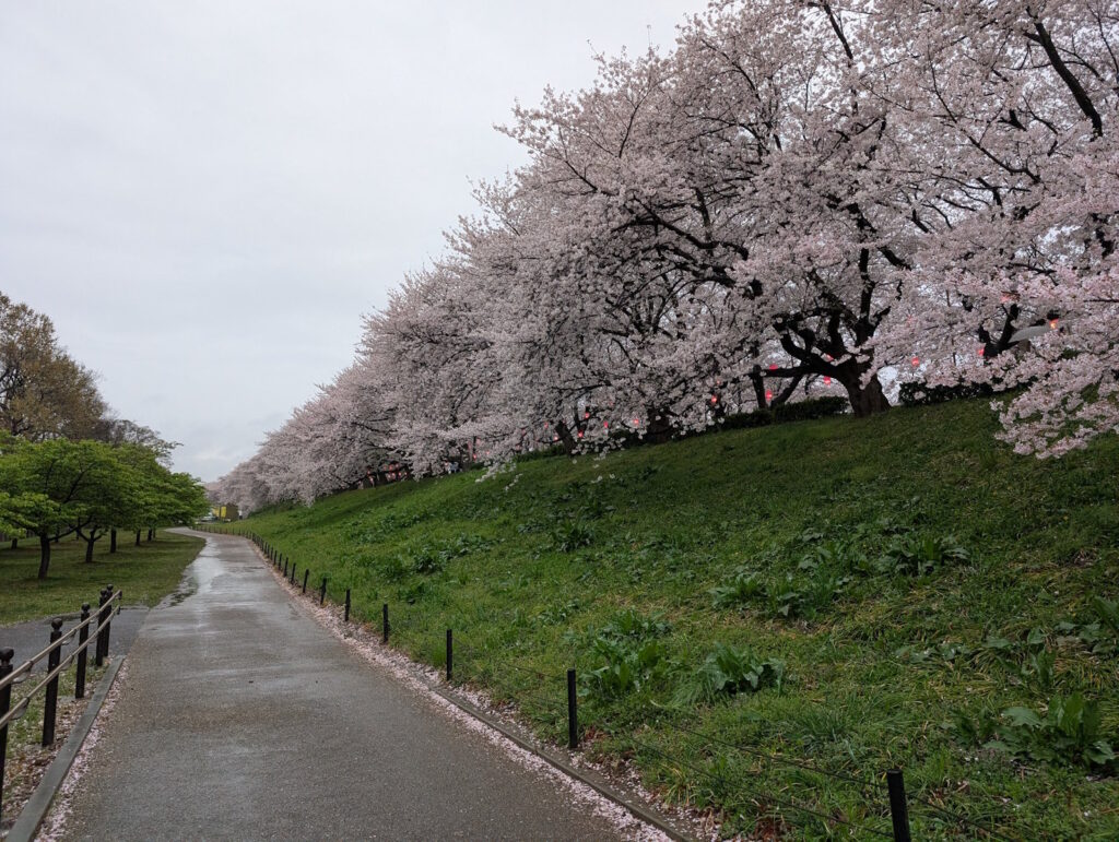 この先にはキッチンカーが来てくれるみたい