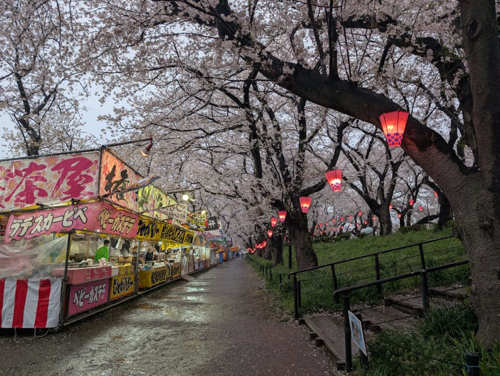 満開の桜と沢山のお店