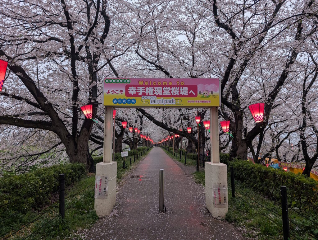 ようこそ幸手権現堂桜堤へ