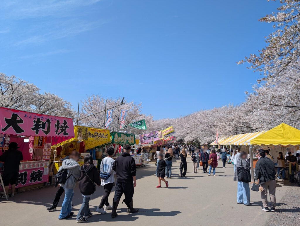 快晴の幸手権現堂桜堤