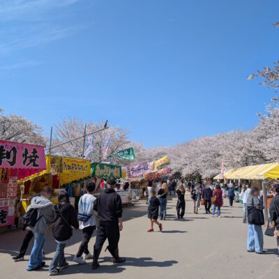 快晴の幸手権現堂桜堤