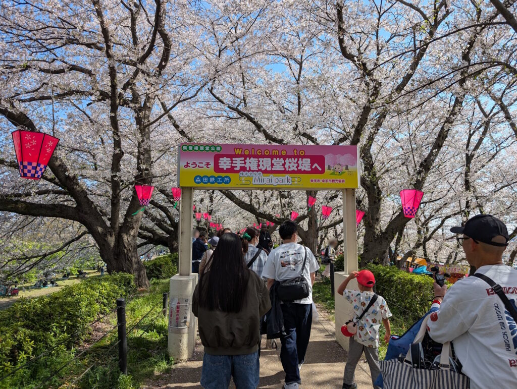 ようこそ幸手権現堂桜堤へ