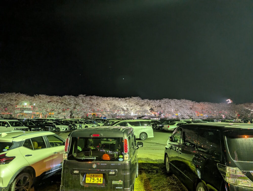 ライトアップされている幸手権現堂桜堤