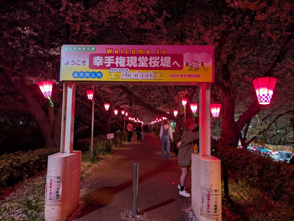 ようこそ幸手権現堂桜堤へ