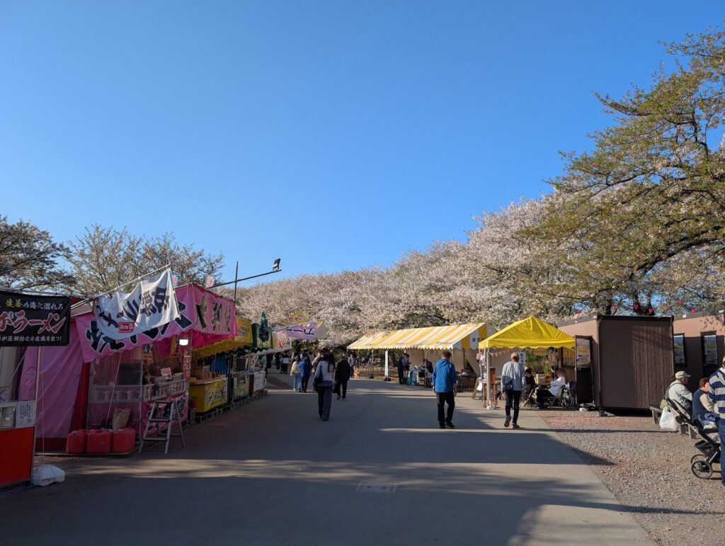 桜が散ってきた幸手権現堂桜堤