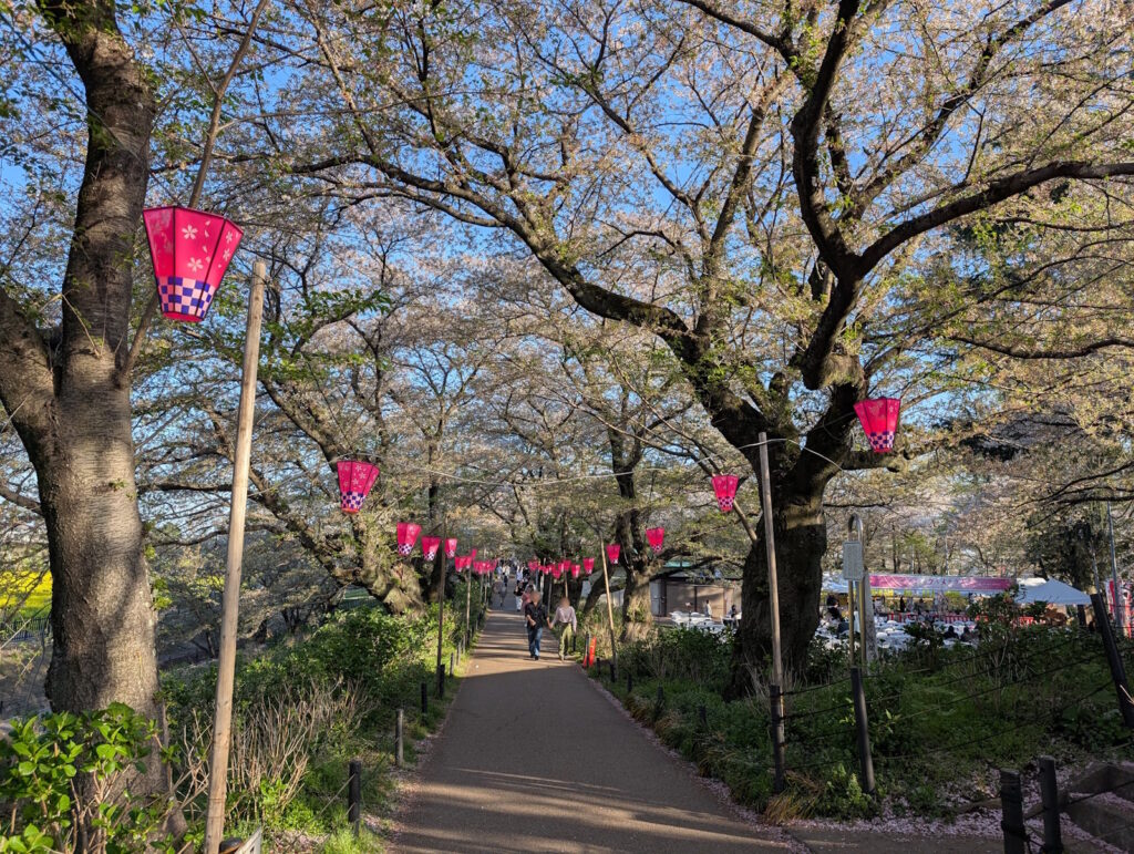 有料席は開放されているみたい