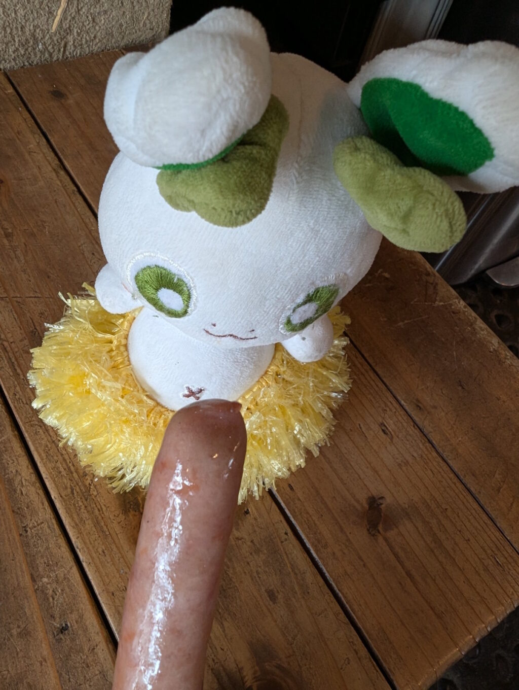 ソーセージとカッシーくん